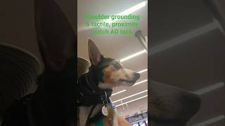 8984. Shoulder grounding & tactile distraction people proximity watch checkout 18 April 2026 AK