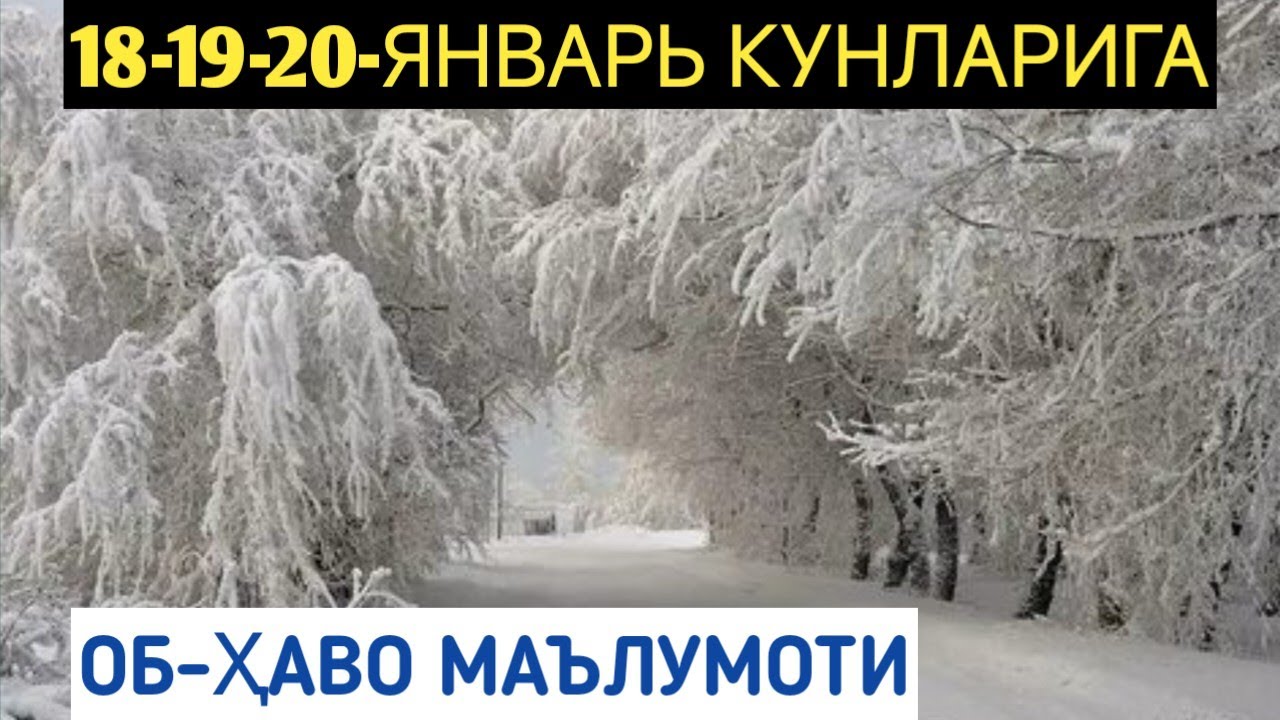 Bir oylik havo. Жиззах қиш фасли. Жиззахда қиш фасли. Қўқонда қиш фасли. Мўйқалам қиш фасли.