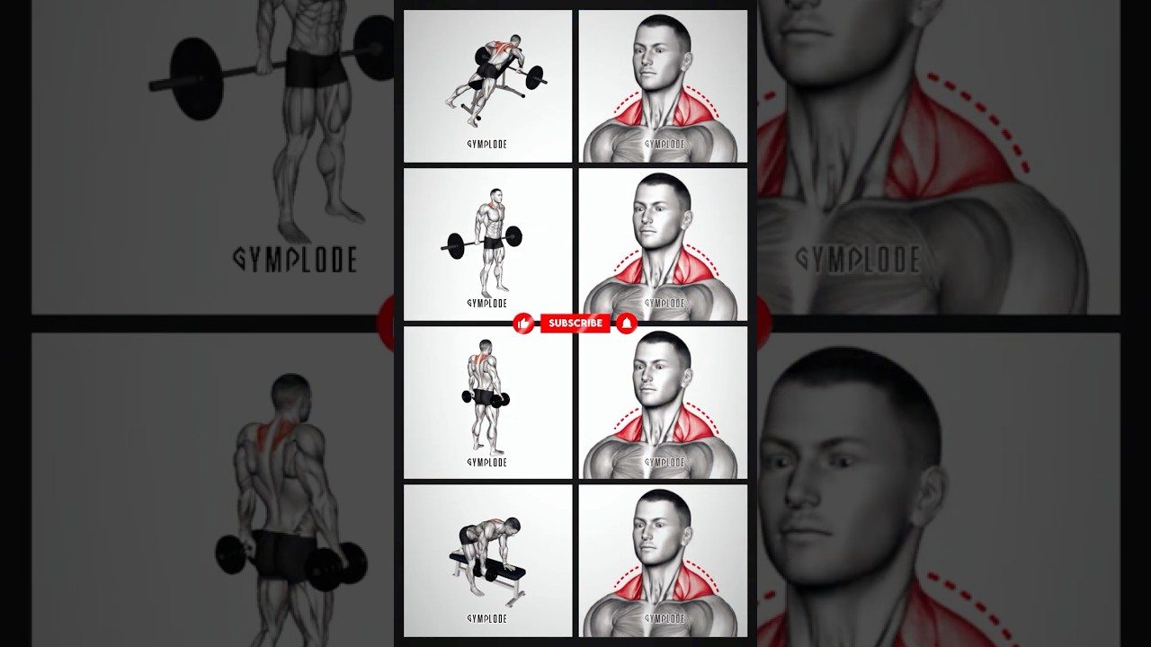 Trap Exercises for Massive Shoulders 