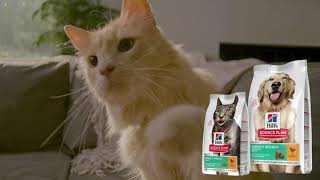 Hill's Science Plan Perfect Weight for cats and dogs