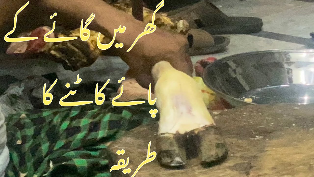 Fastest Paya Cutting Skill How To Cut Cow Foot Trotters Cutting fastest-paya-cutting-skill-how-to-cut-cow-foot-trotters-cutting