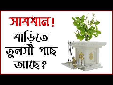 ভিডিও: ফিল্ম 