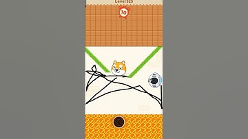 Save The Dog Game Level 325