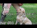 "Cody...Go Back": Teaching a Gun Dog Hand Signals