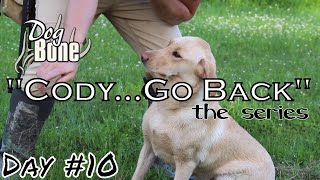 Cody...Go Back: Teaching a Gun Dog Hand Signals