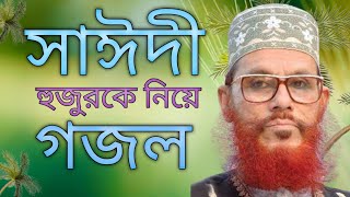 দেলোয়ার হোসেন সাঈদী গজল | Dilwar Hussain Saidi Gojol |