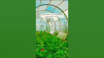 #القرآن_الكريم #تلاوة_هادئة #راحة_نفسية #foryou #fypシ #ايات #