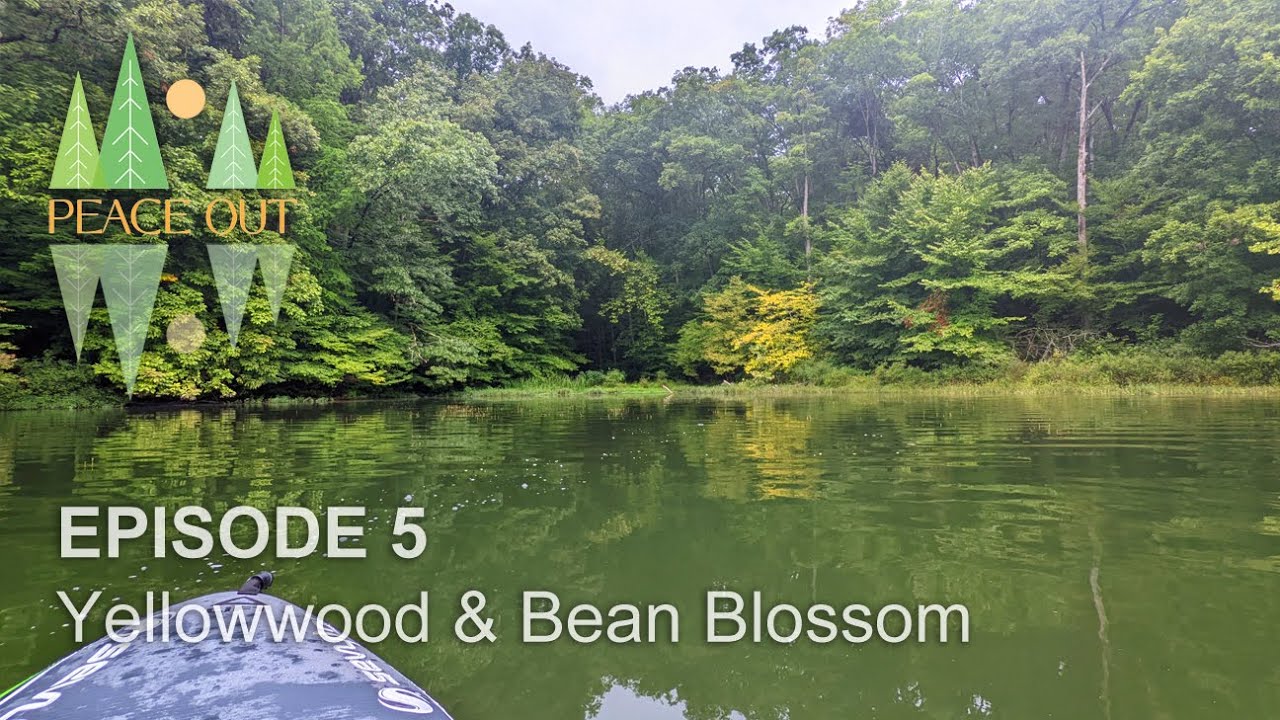 Ep. 5 | Yellowwood and Bean Blossom