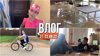 Приехала в гости к Ангелине 🏡 копаем картошку, купаемся в бане 🧖, отдыхаем 🤍 Приехала в гости к Ангелине 🏡 копаем картошку, купаемся в бане 🧖, отдыхаем 🤍