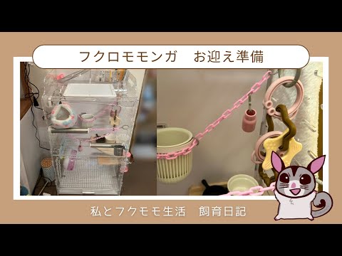GEXアクリルルーム390highⅡ フクロモモンガ用ケージの組み立て[準備編