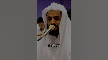سورة الروم رعد الكردي #رعد_الكردي #سورة_الروم #قرآن_كريم #القرآن #الله #raadalkurdy