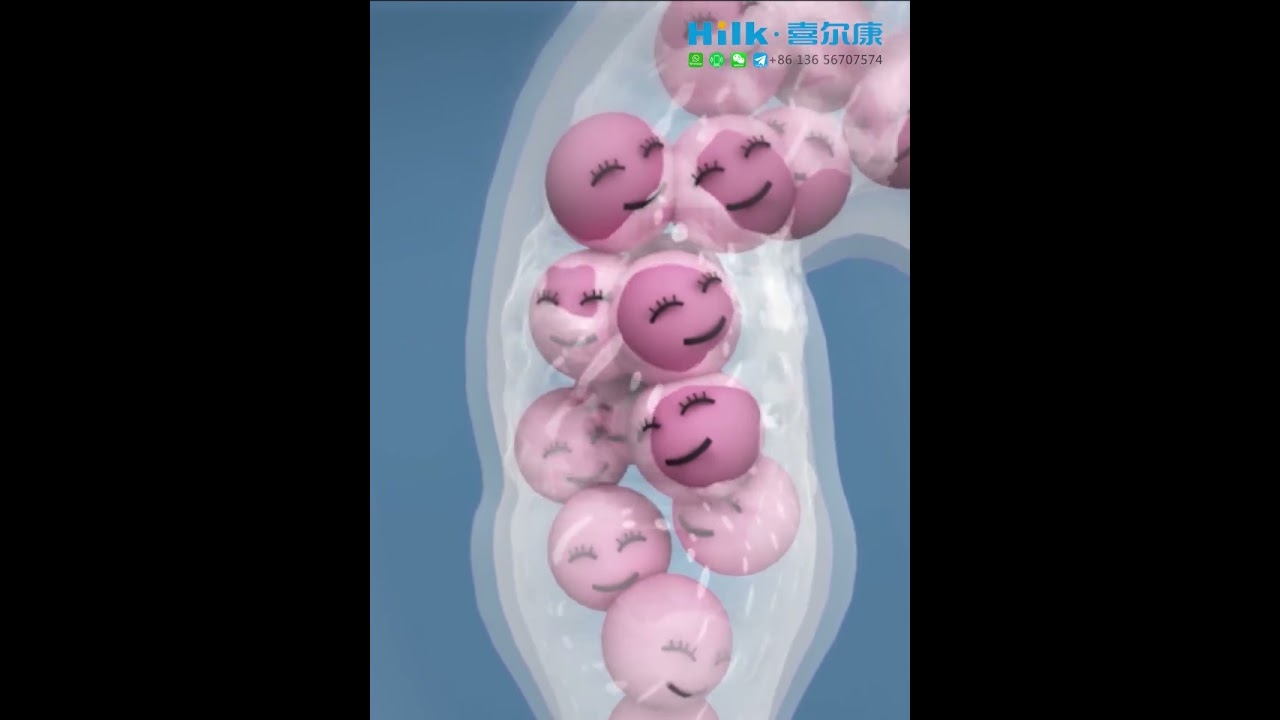 HK9511 intelligent toilets Bathroom   smart Sanitary wares  Hygienic electronic bidet automatic WC