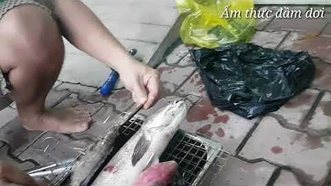 Cá lóc nương cuối tuần | Ẩm thực Đầm dơi