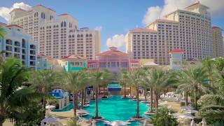 Life in the Water at Baha Mar