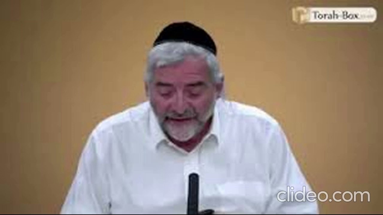 Daf HaYomi - Zevahim 8 et 9