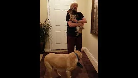 when mom comes home