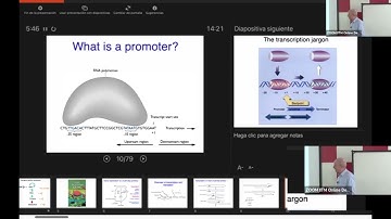 Introduction to Synthetic Biology - Day 2 Part 1 #swayamprabha #ch17sp
