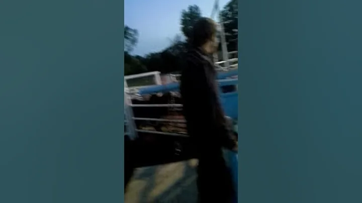 Aaron moody bullriding
