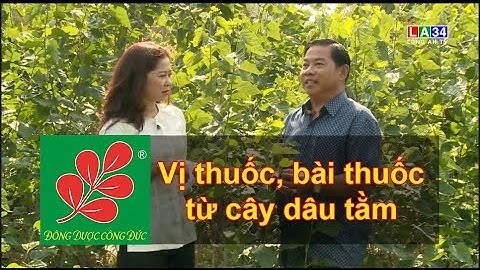 VỊ THUỐC, BÀI THUỐC TỪ CÂY DÂU TẰM - Lương Y Nguyễn Công Phúc