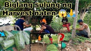 17TH HARVEST NATEN 🙏 || LAKI NG ISINULONG🙏😱  || TUMULONG TAYO SA PAG SABOG NG PALAY 🌾 ||