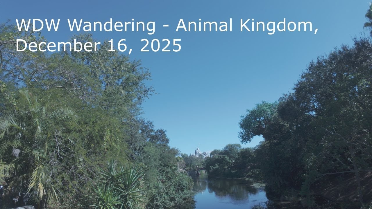 WDW Wandering - Animal Kingdom, December 16, 2025