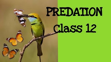 Class XII, Chapter 13 Organisms and Populations,Topics Population Interactions Sub Topic #Predation.