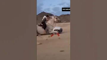 خدوا البشاره مثل طياره 