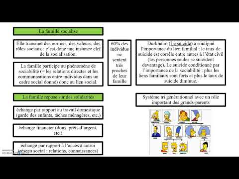 Vidéo: Quelles sont les fonctions de la famille Ignou ?