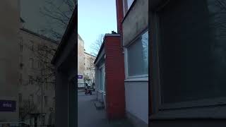 Как ты туда залез 'КОТ' на крыше.