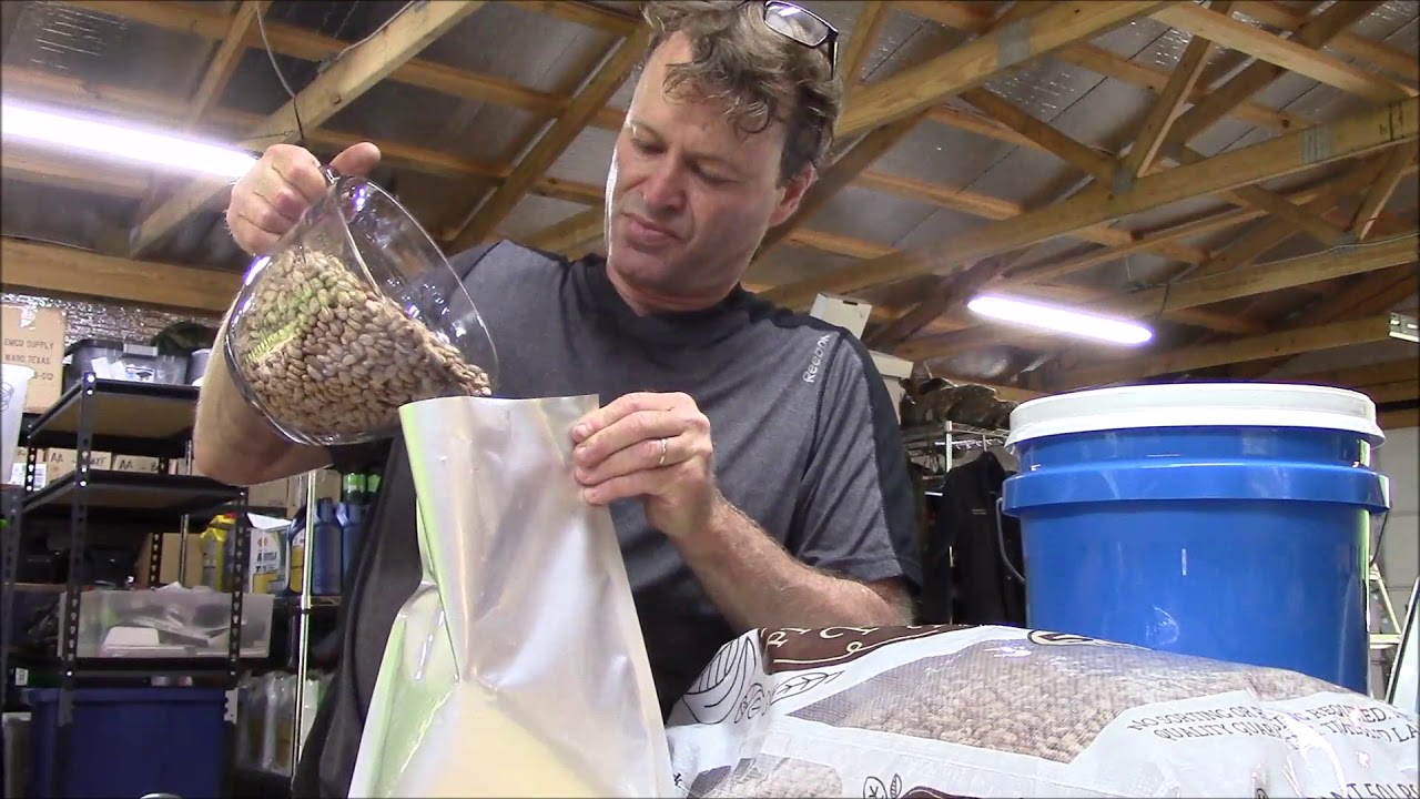 Pinto Beans - Long Term Storage Using A New 7Mil Mylar Bag