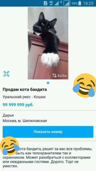 Объявления на Авито 2 часть #memes #мем #avito #авито #рекомендации # ...