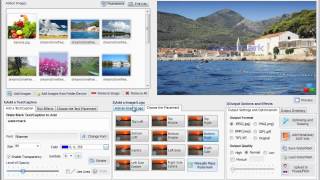 How to add a Simple Text and Logo Watermark to Images using Mass Watermark screenshot 5