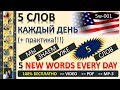 Английский язык - 10000 слов - 5 новых слов каждый день  (№1) Английский с семьей Савченко