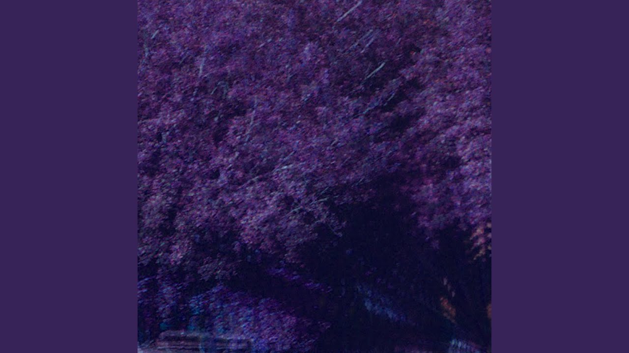Watch Projection on YouTube Watch Projection on YouTube