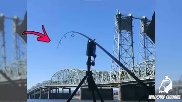 CARP RUN COMPILATION 2022! PART 27!