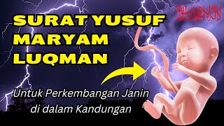 Surat Yusuf, Maryam, Luqman Arab Latin dan Terjemahan - Kumpulan Surat Untuk Ibu Hamil dan Janin