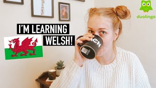 I'M LEARNING WELSH! | Learning a language with Duo Lingo. Dw i'n dysgu Cymraeg! 🏴󠁧󠁢󠁷󠁬󠁳󠁿