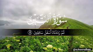 Surah Tin by Abdur-Rehman As-Sudais | Quran Surah Tilawat | Like | Subscribe | Comment 