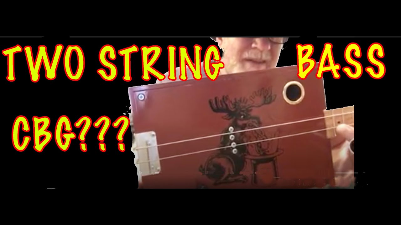 Chillin Moose 2 String Bass 