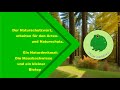 Die Mausbachwiese, ein Naturdenkmal mit einzigartigen Biotopen