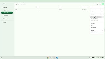 How to show Linux Hidden Files on a Chromebook