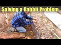 How to Identify and Solve a Rabbit Problem