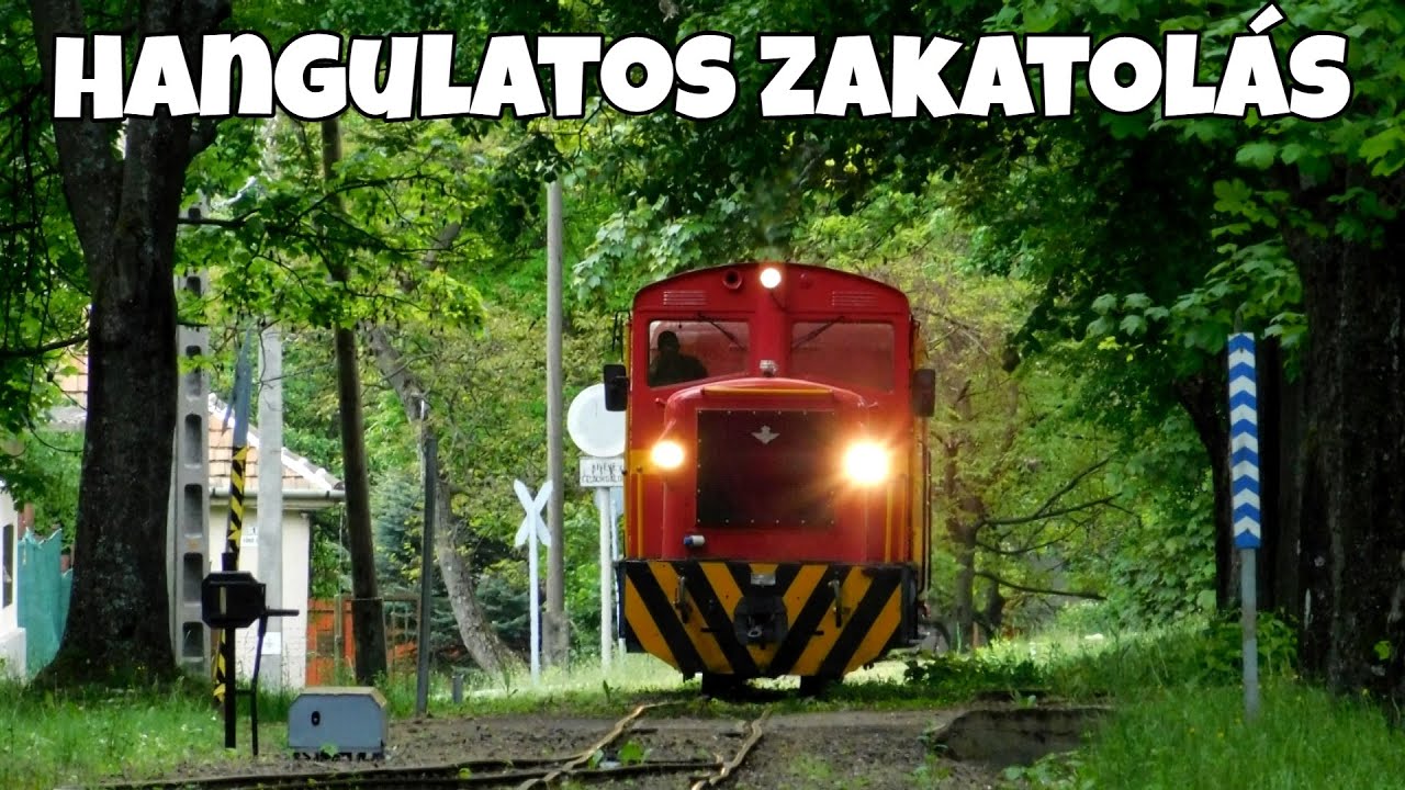 Két kisvasút, ami a hét MINDENNAPJÁN üzemel, avagy a KÁPRÁZATOS MÁTRAVASÚT!