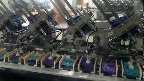 Pouch/sachet Automatic Counting and feeding Cartoning machine