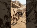 Your Life Building the Pyramids | Ancient Egypt Explained #shorts #history #facts