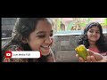 മാമ്പഴ വിശേഷം|| #mango #alphonsa #trend #reels #shorts #moginkm #livemediaplr #moginperuvallur #kids