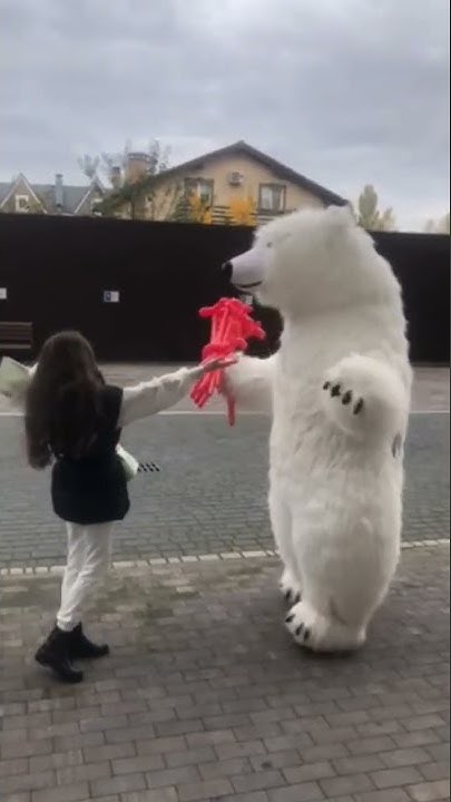 Белый медведь гигантский Мишка Тедди 3 метра Экспресс поздравления Киев ...