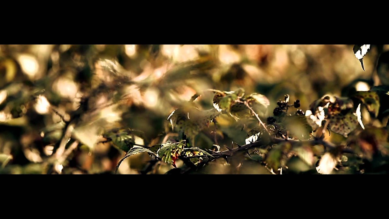 YOUNG SPRAY - 'FORGIVENESS' #HARD2KILLVOL2 OUT NOW