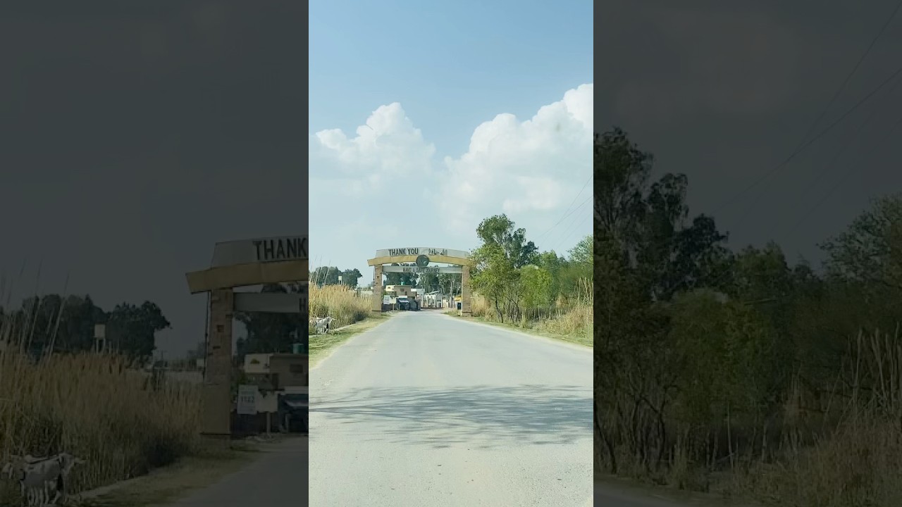 Chura Ke Dil Mera | Pahari Road Wala Scene | Vibe Max