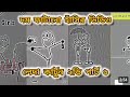 বাংলা ফানি কারটুন ভিডিও || part 6 দম ফাটানো হাসির কার্টুন ভিডিও😂🤣 (4k memes) @Memapur-s7u